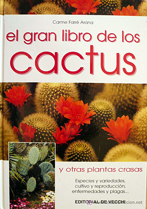dracaena dragon plant Dracaena marginata 10