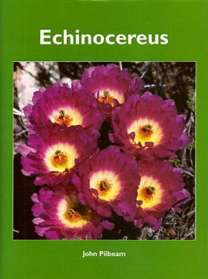 Echinocereus, John Pilbeam