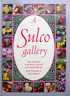 A Sulco gallery - John Pilbeam & David Hunt